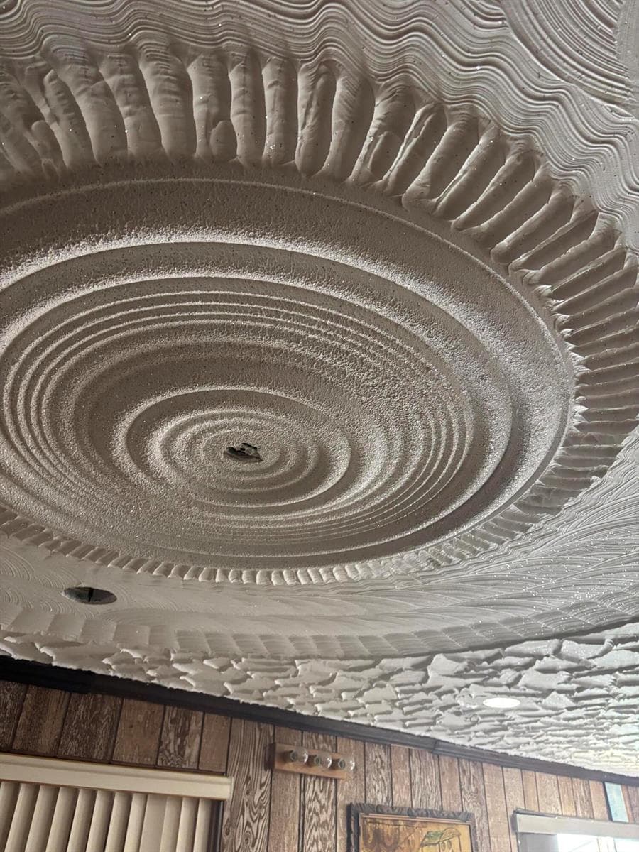 Den Ceiling