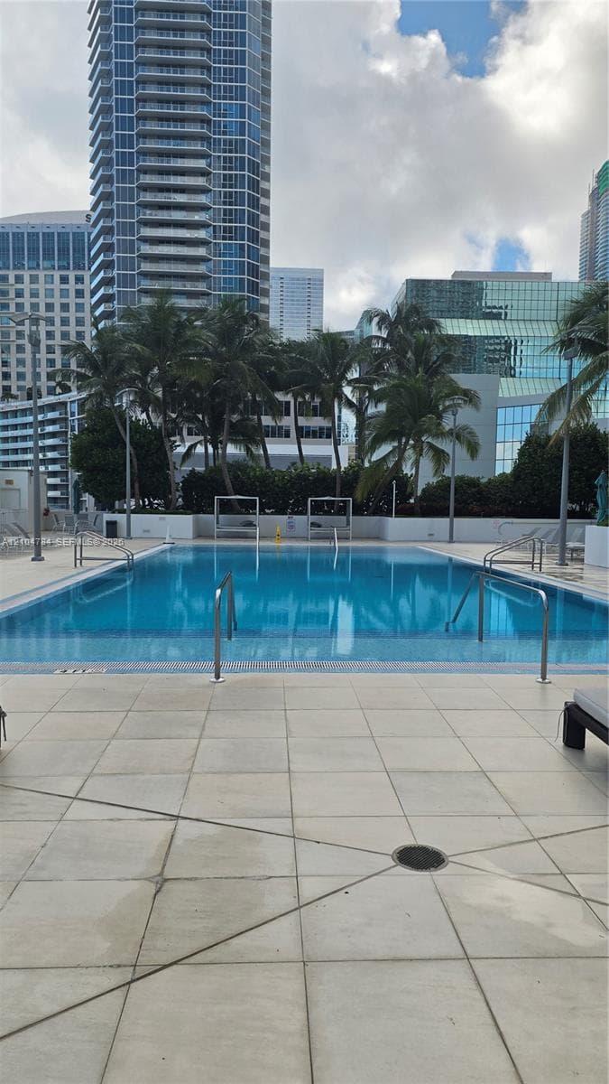 Swimming pool with stainless steel railings, light-colored paver decking, and surrounding mature palm trees
