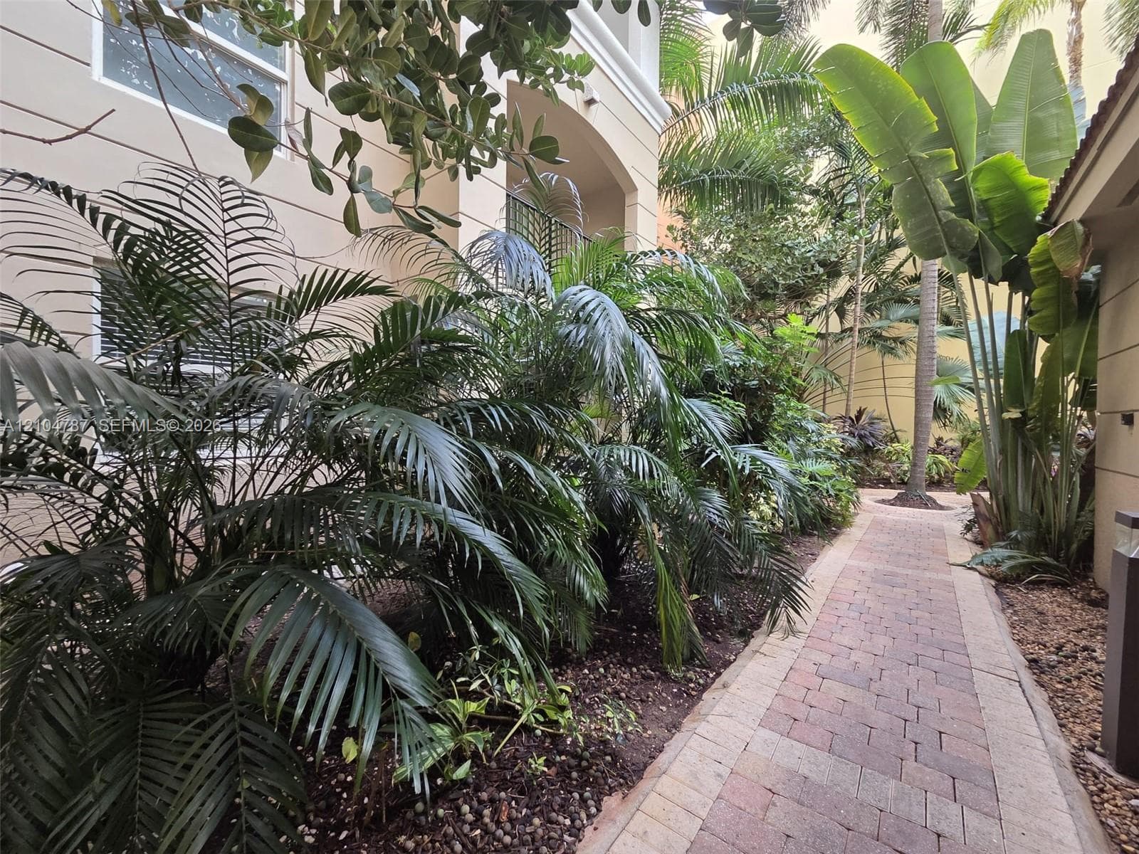 Paver walkway lined with mature palm trees, lush tropical landscaping, and exterior stucco finish
