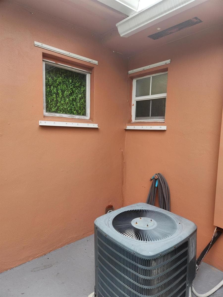 Cleaned back yard