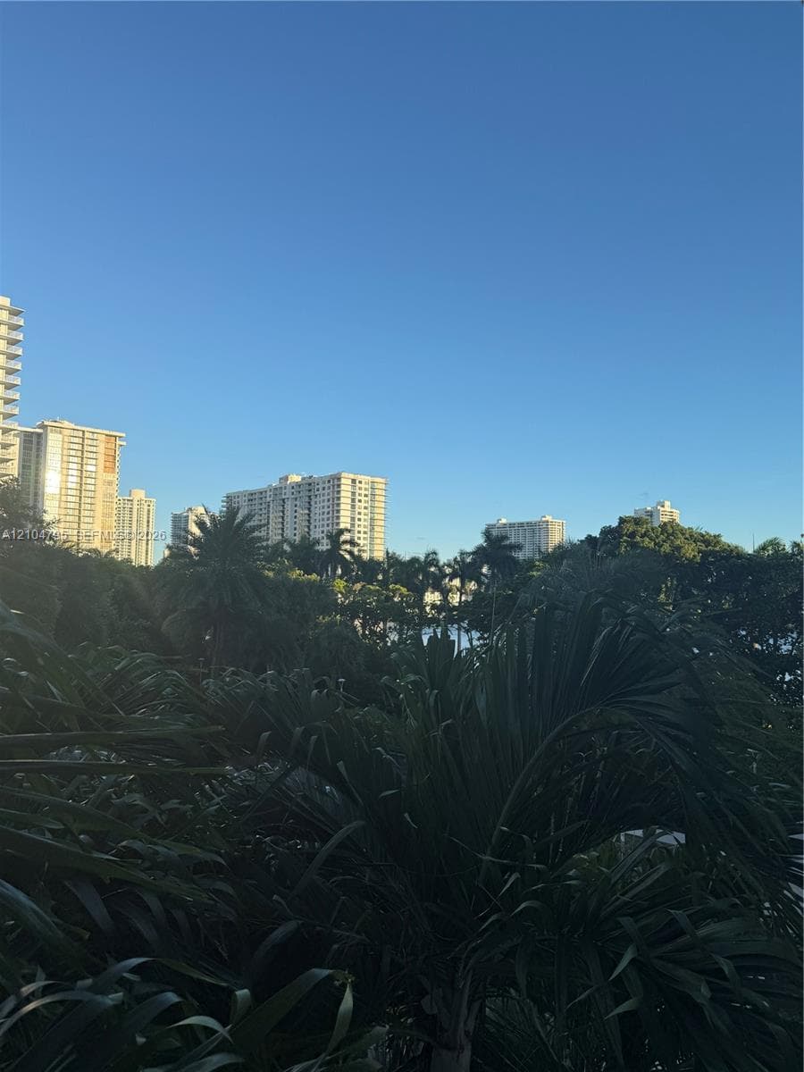 Lush tropical landscaping featuring mature palm trees and dense foliage set against a cityscape backdrop