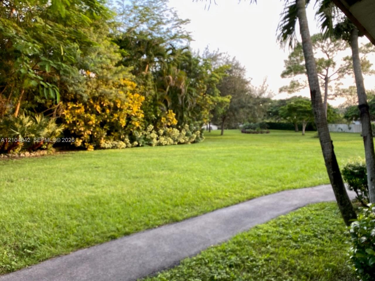 Front of Yard right
