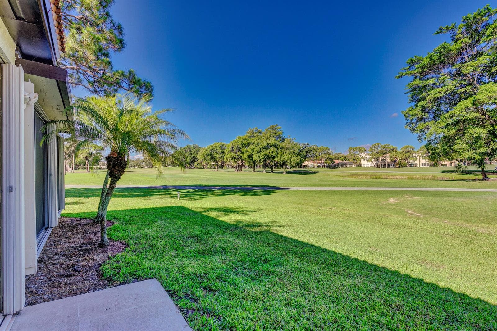 Golf View