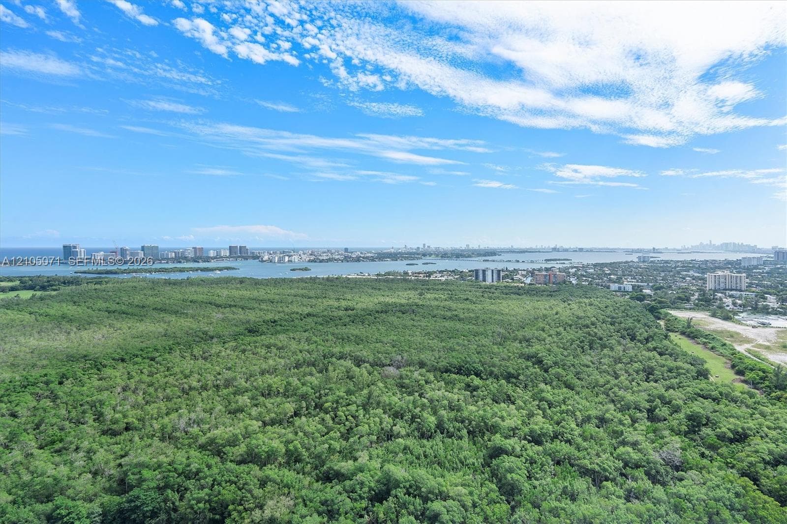 Aerial perspective featuring extensive dense woodland, coastal waterway, and distant urban skyline