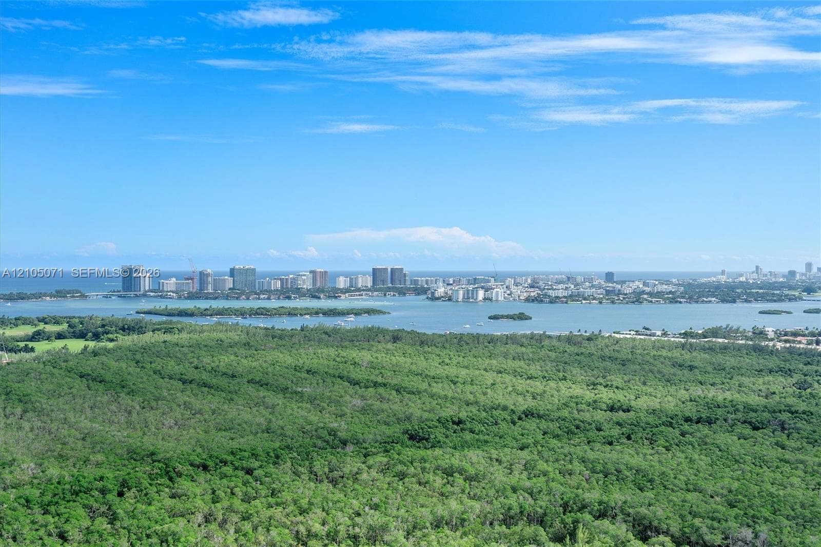 Aerial perspective featuring dense coastal vegetation, expansive bay waters, and a skyline horizon