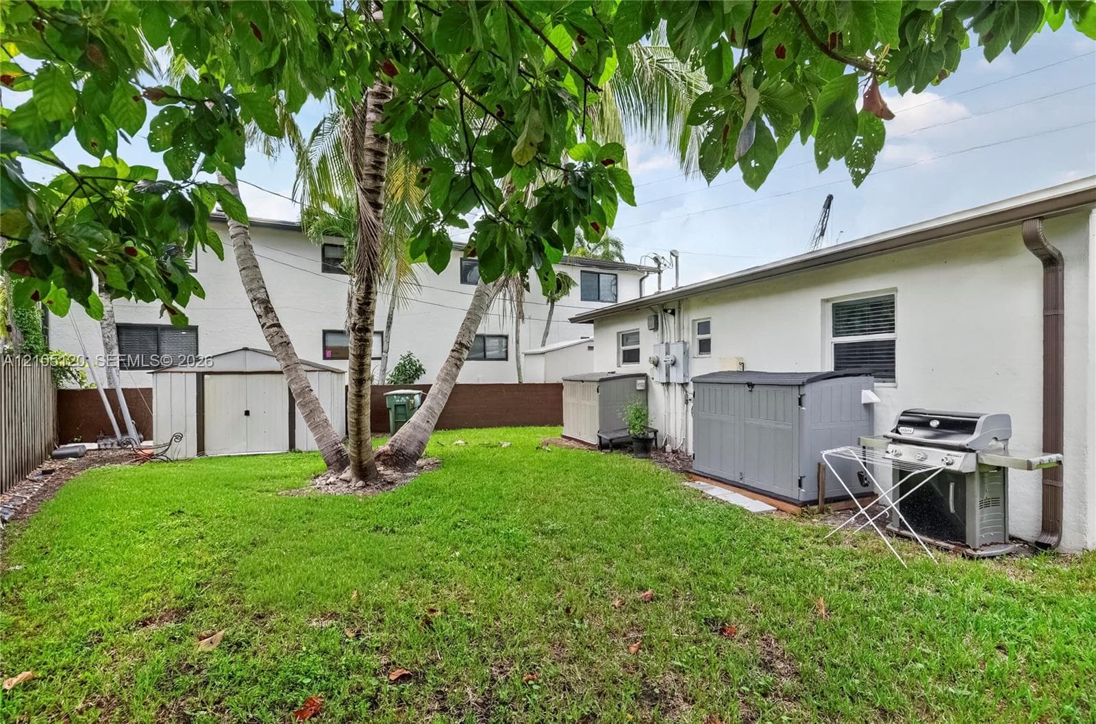 Backyard area featuring a manicured lawn, mature palm trees, and perimeter privacy fencing