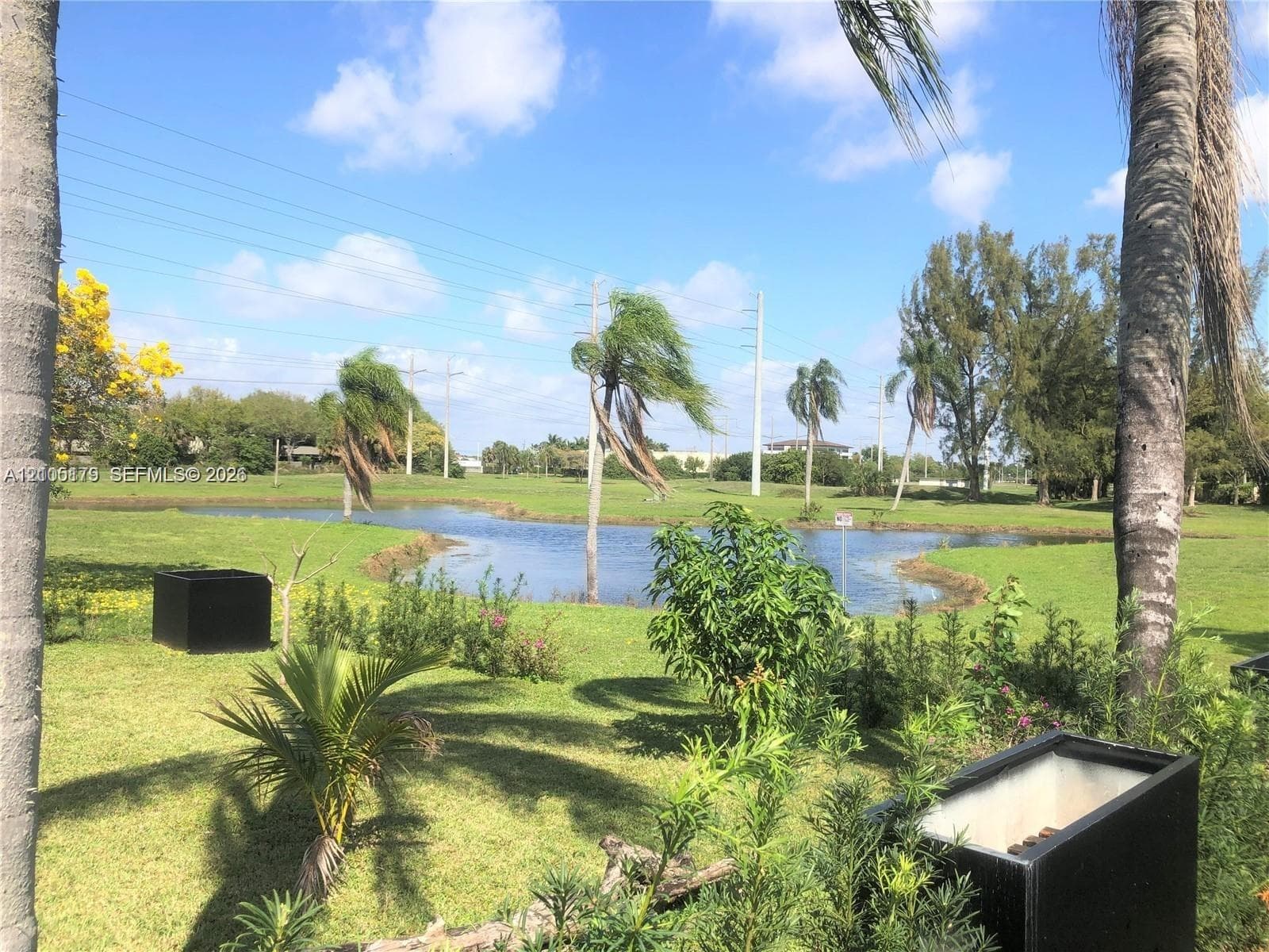 7443 Twin Sabal Dr photo 9