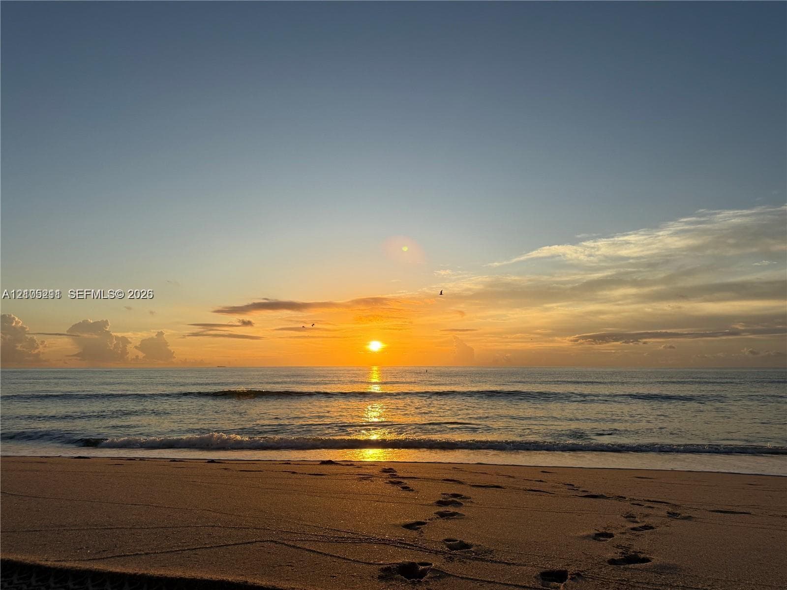IMPERIAL TOWERS NORTH CON · #243 in Hallandale Beach - Photo 1