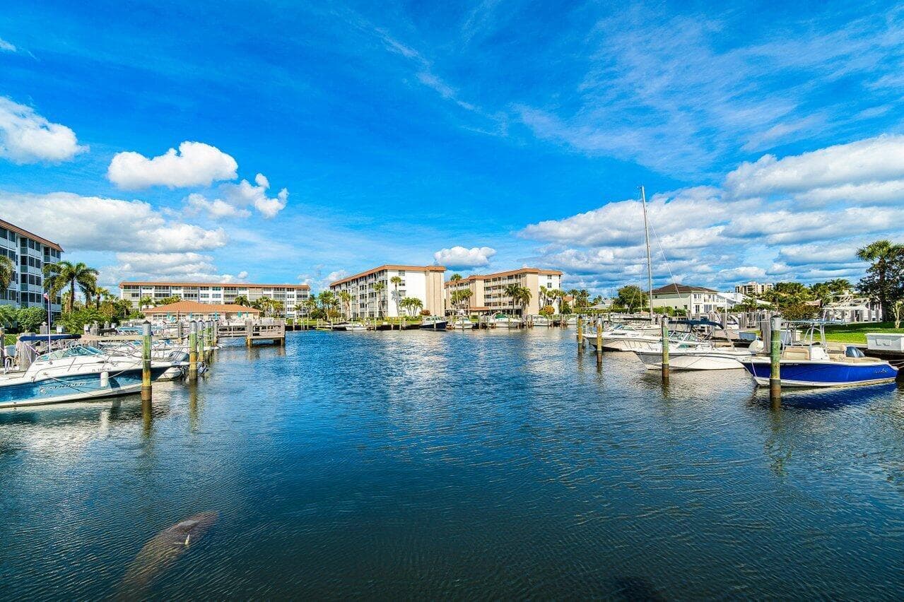 Tropic Bay stock 8