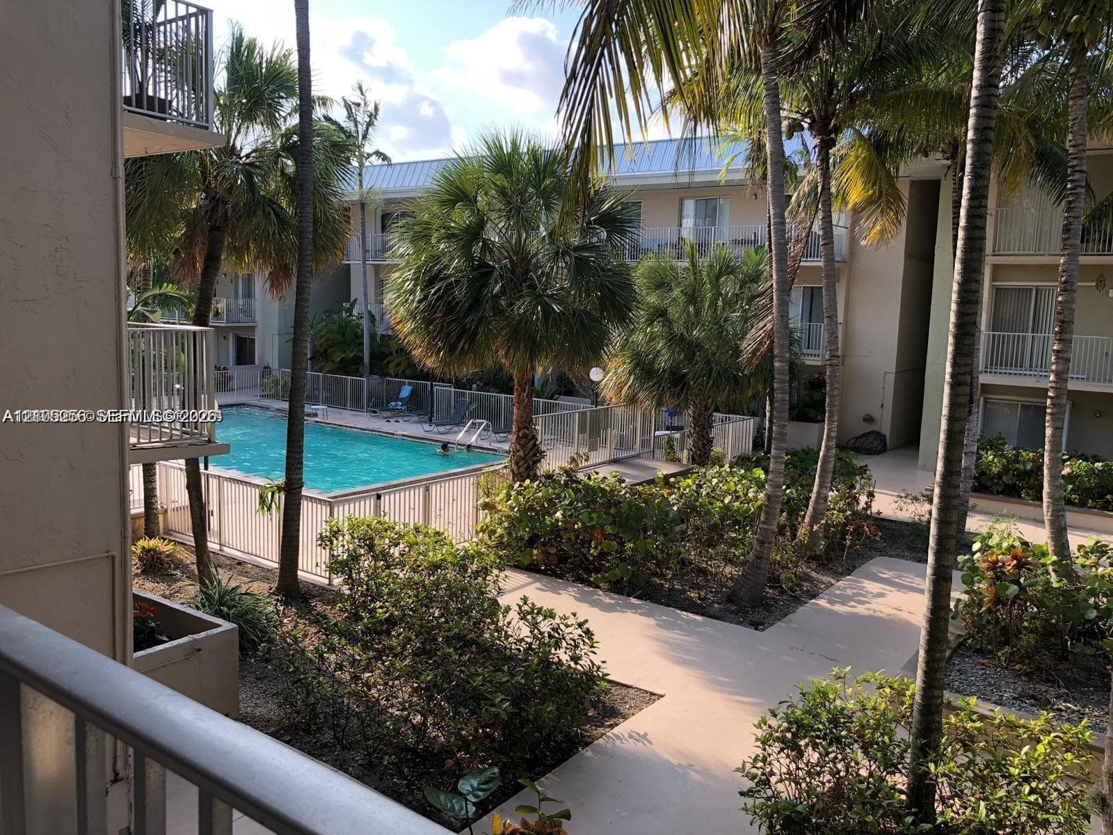 Swimming pool enclosed by white fencing, surrounding palm trees, and paved walkways