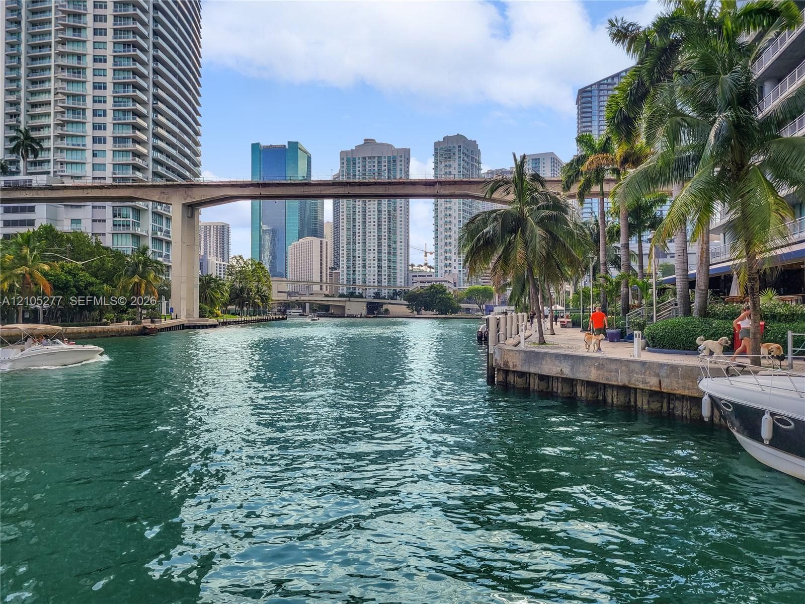 Waterfront setting featuring a concrete seawall, mature palm trees, and high-rise buildings