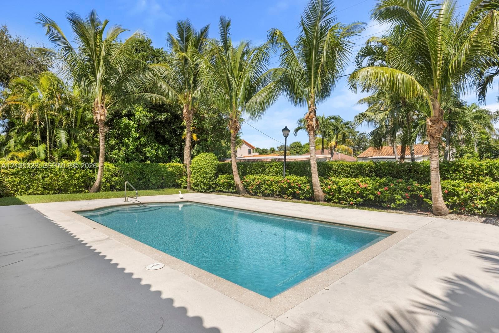 Rectangular inground pool with surrounding concrete decking, complemented by a manicured hedge and multiple mature palm trees