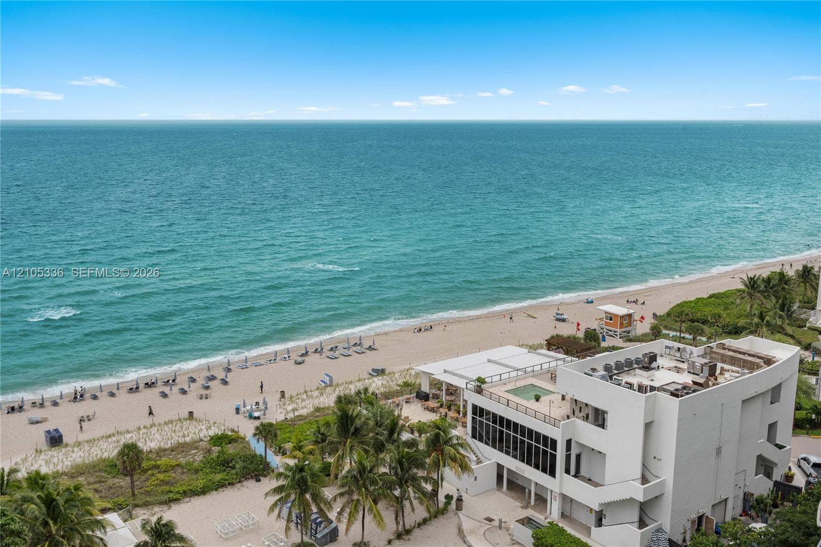 Oceanfront perspective featuring sandy beach access, mature palm trees, and structural exterior
