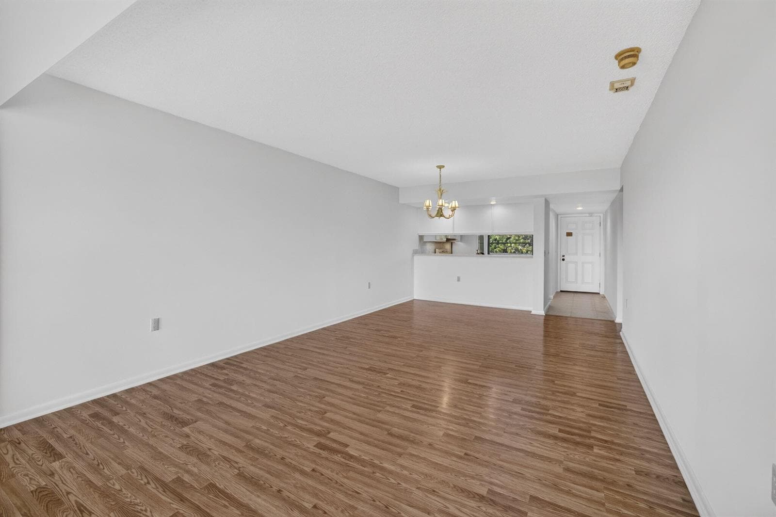 10-web-or-mls-5D1A6749