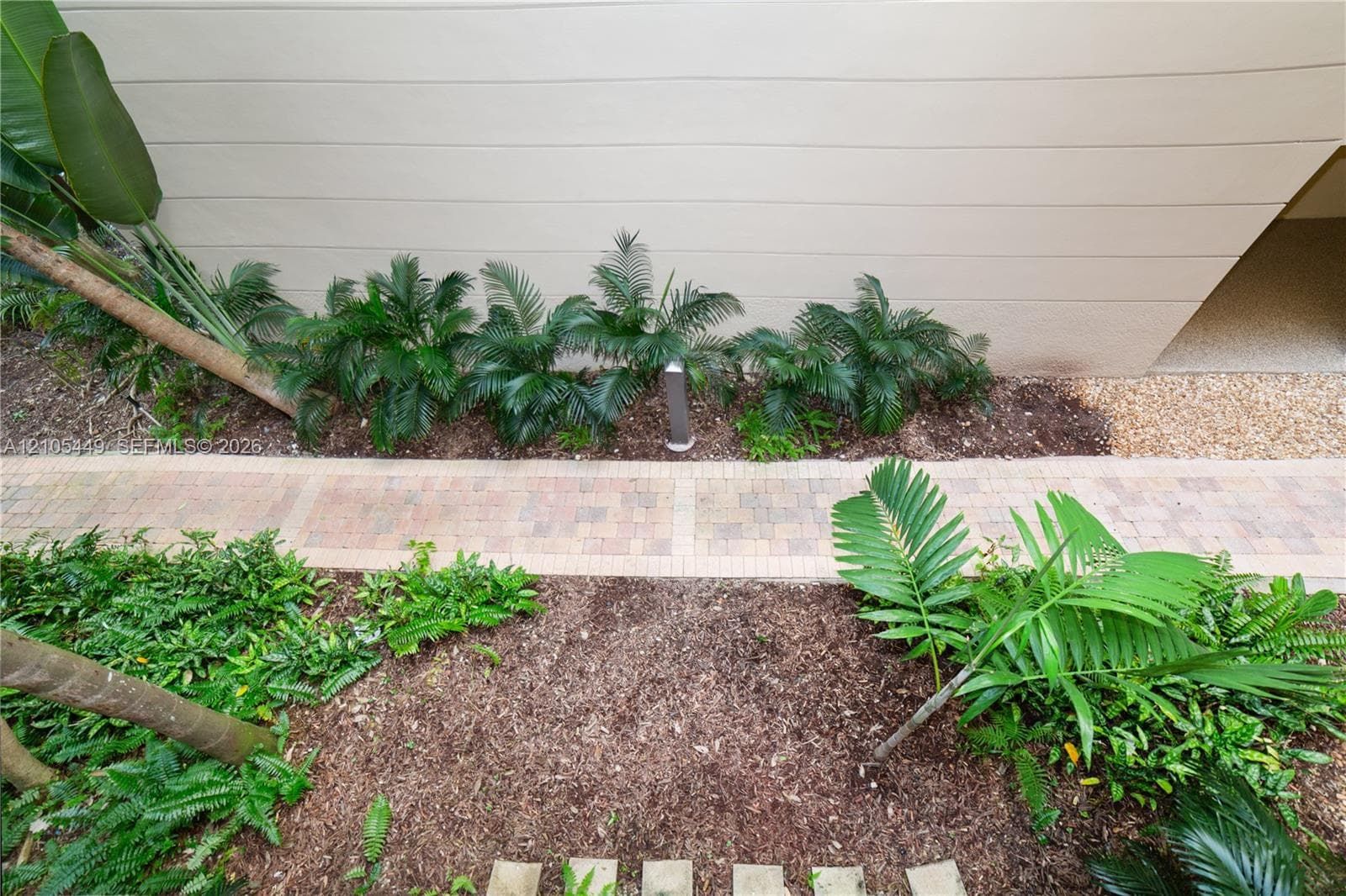 Paver walkway bordered by lush tropical plantings and mulched beds