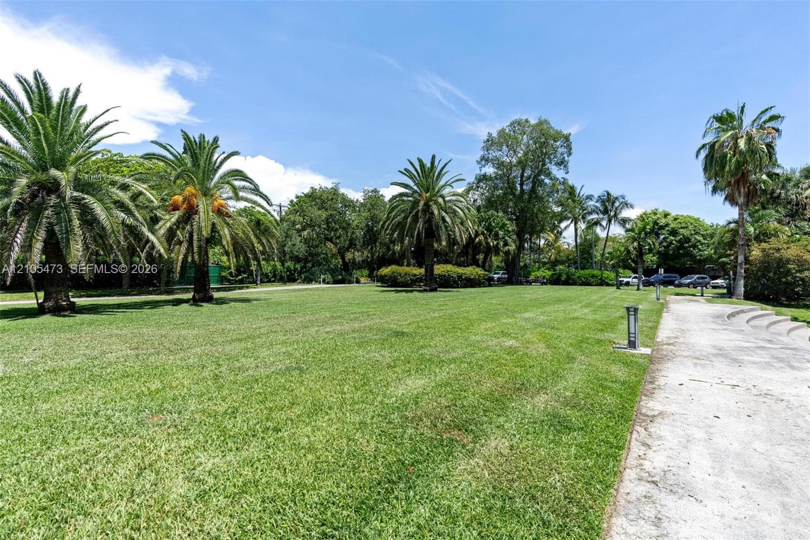 Expansive landscaped lawn featuring mature palm trees, established shade trees, and a concrete pathway with integrated lighting