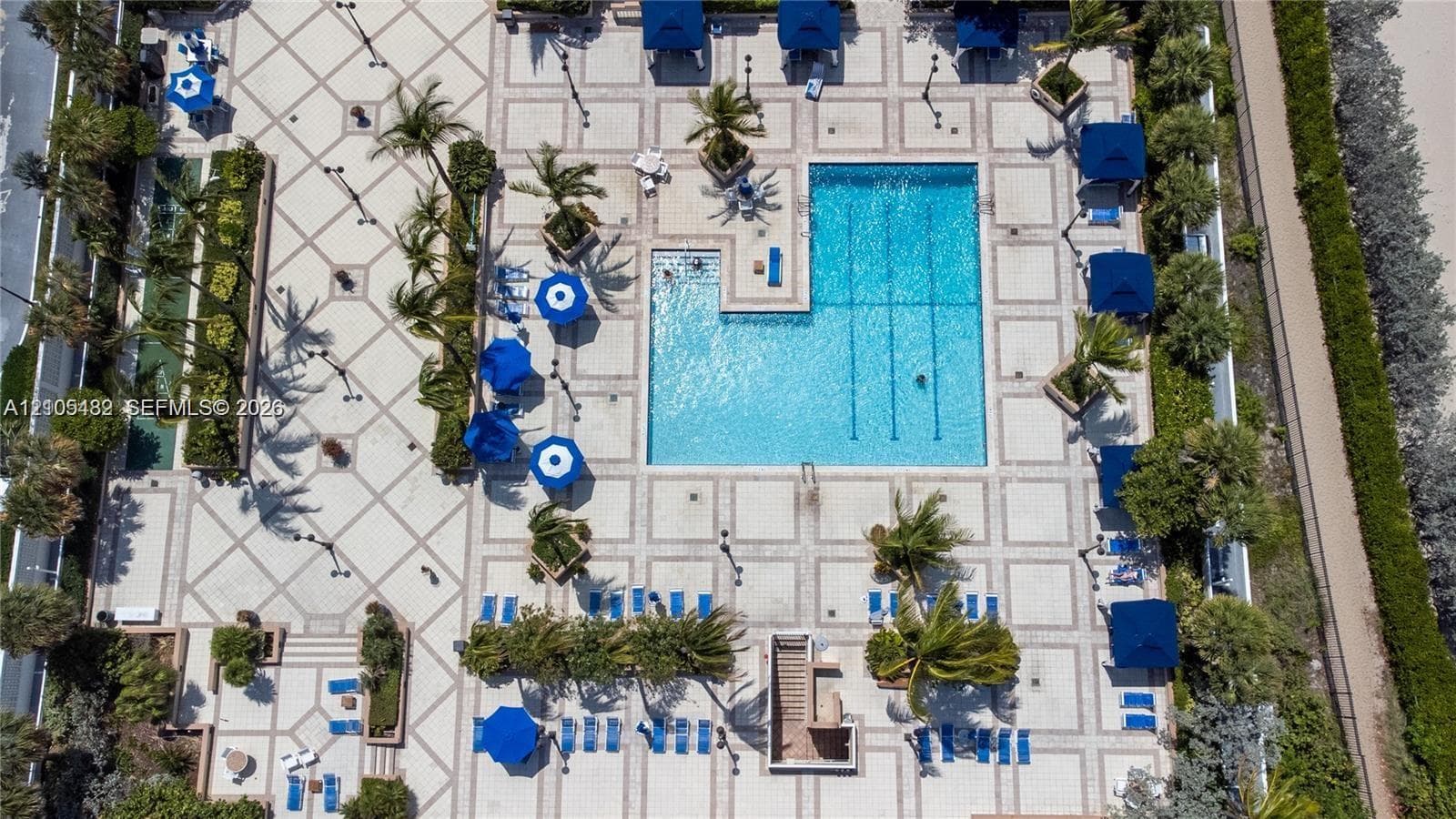 Outdoor swimming pool featuring a geometric paver deck and integrated landscaping with mature palm trees