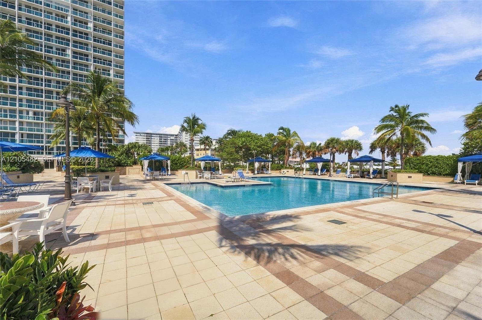Swimming pool with tiled decking, surrounding mature palm trees, and perimeter landscape hedging