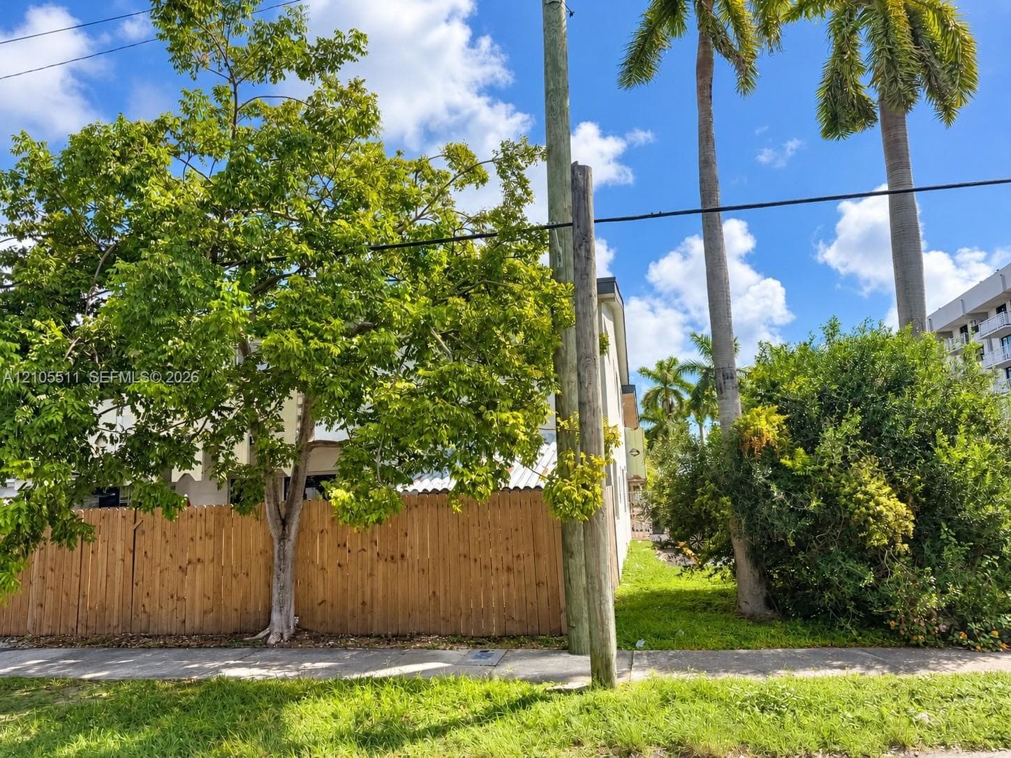 Wood fencing, mature trees, and established palm trees