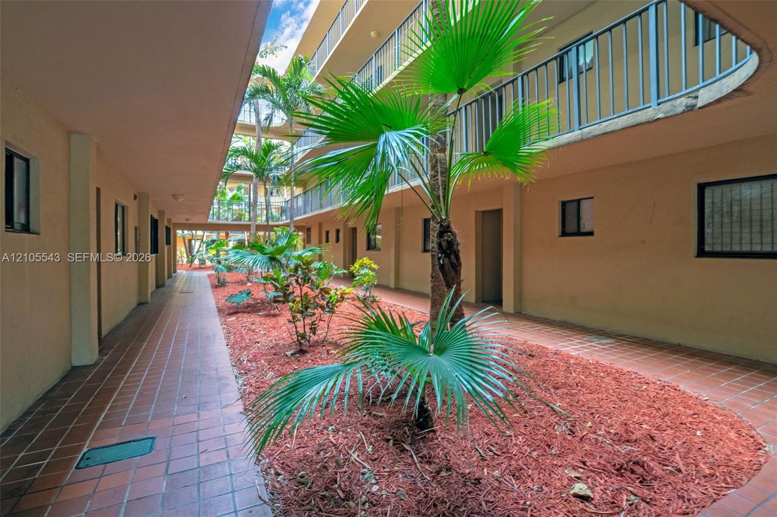 Exterior courtyard featuring terracotta tile pathways, mature palm trees, mulched garden beds, and multi-level metal railings
