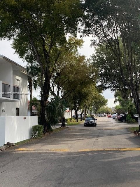 Mature tree-lined streetscape with paved roadway