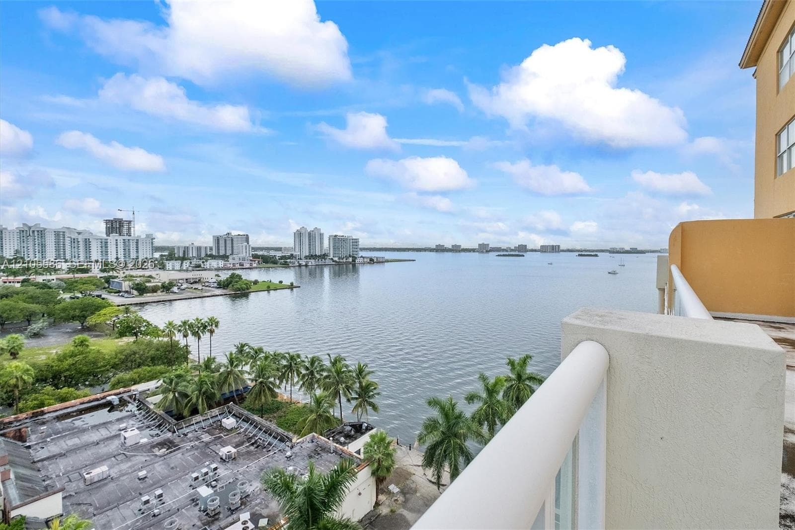 Expansive waterfront scenery, city skyline, and tropical foliage