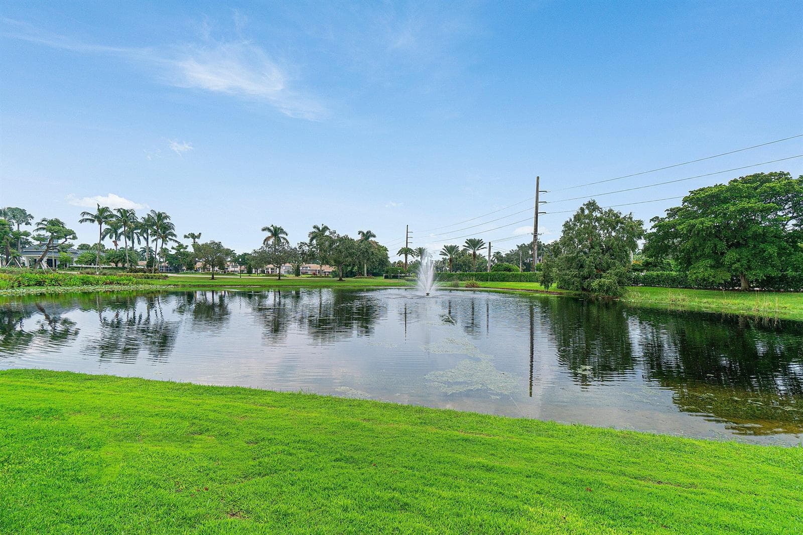Lake Views