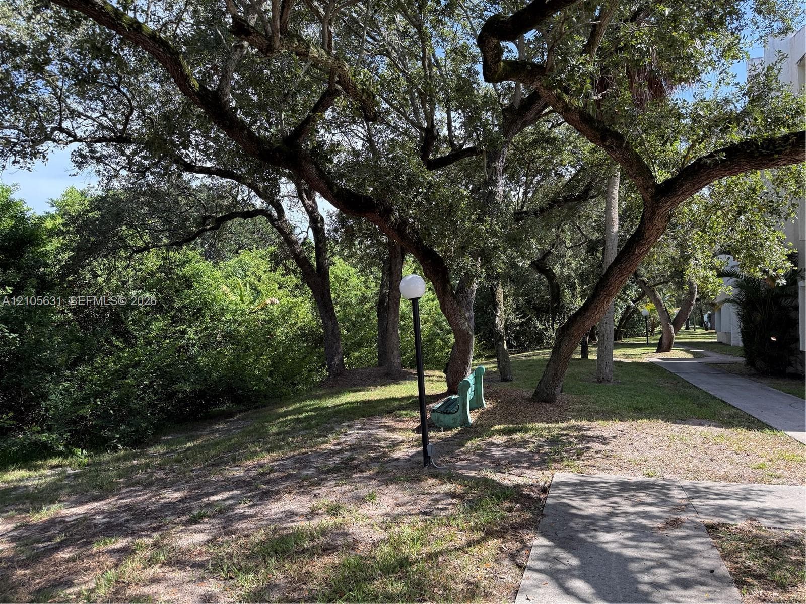 Outdoor space featuring mature oak trees, concrete pathways, and pole-mounted exterior lighting