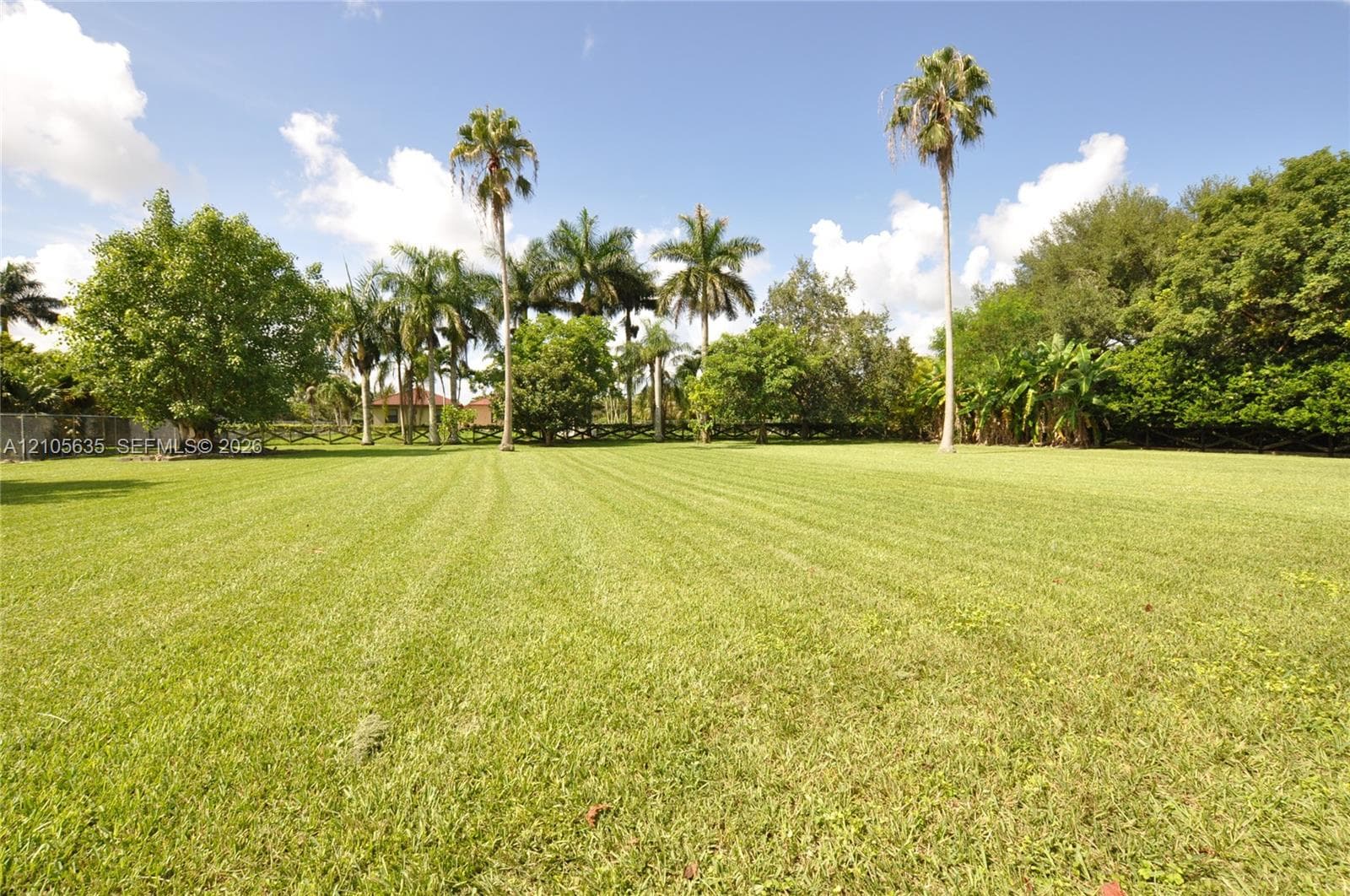 Expansive lawn area featuring mature palm trees, dense perimeter vegetation, and wood-rail fencing