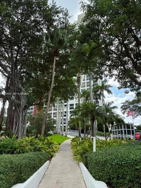 Concrete walkway bordered by manicured hedges, mature specimen trees, towering palms, and architectural building exterior
