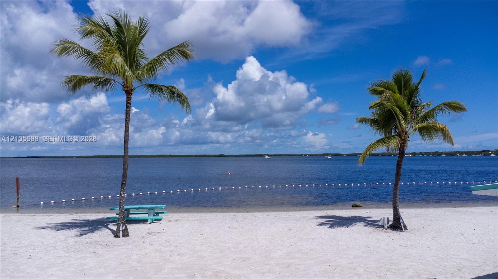 Community Beach Sandy shoreline featuring mature palm trees and direct waterfront access
