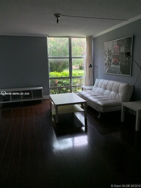 Dark wood-finish flooring, floor-to-ceiling multi-pane window, and crown molding