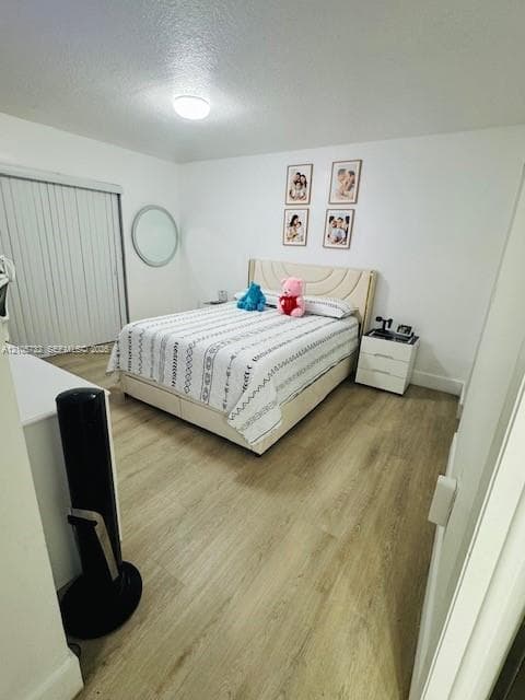 Wood-finish flooring, flush-mount ceiling lighting, and sliding closet doors