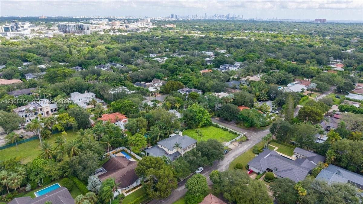 Aerial perspective featuring dense canopy coverage, established residential landscaping, and distant city skyline horizon