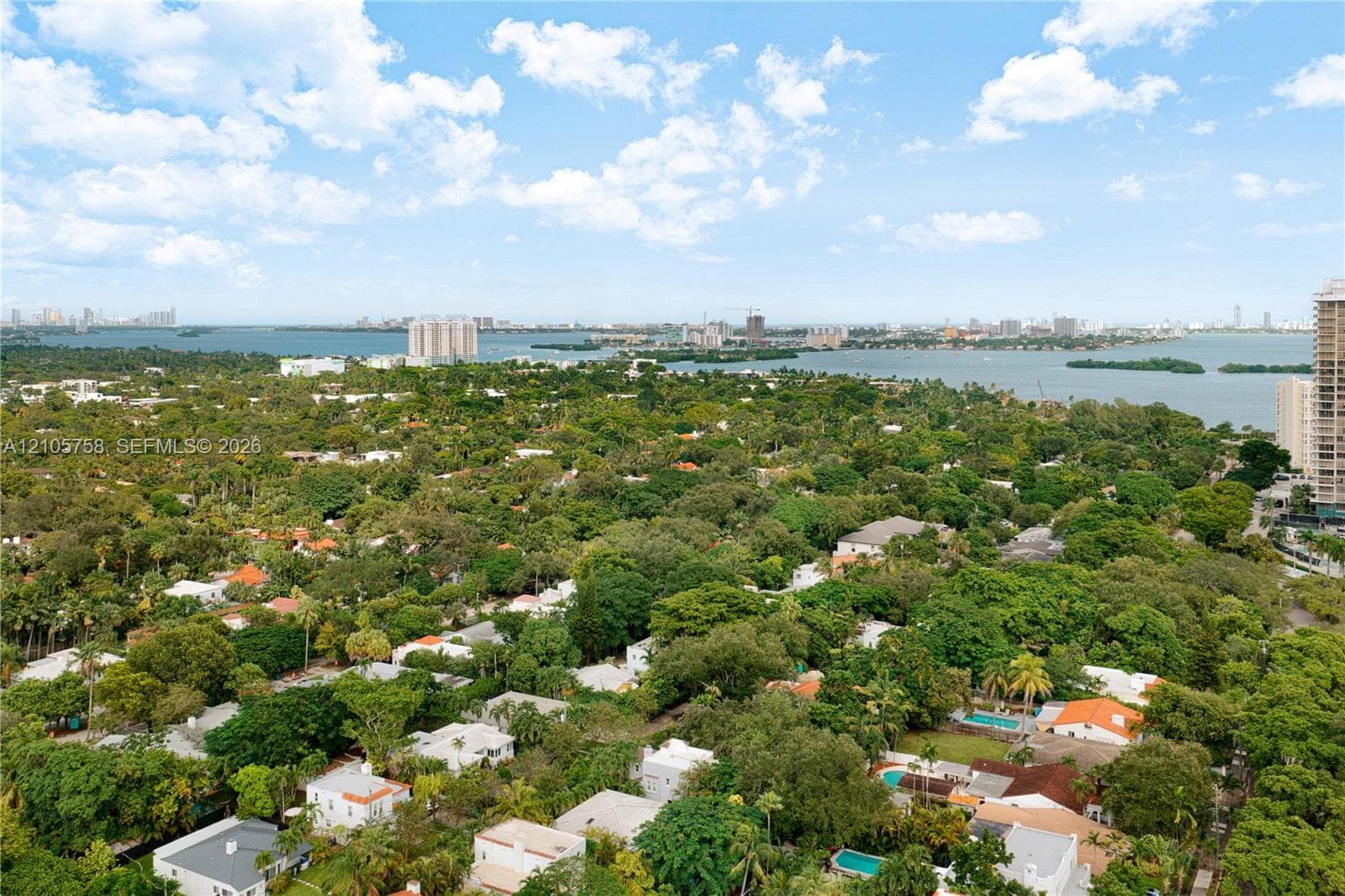 Aerial perspective featuring expansive tree canopy, coastal waterway, and urban skyline