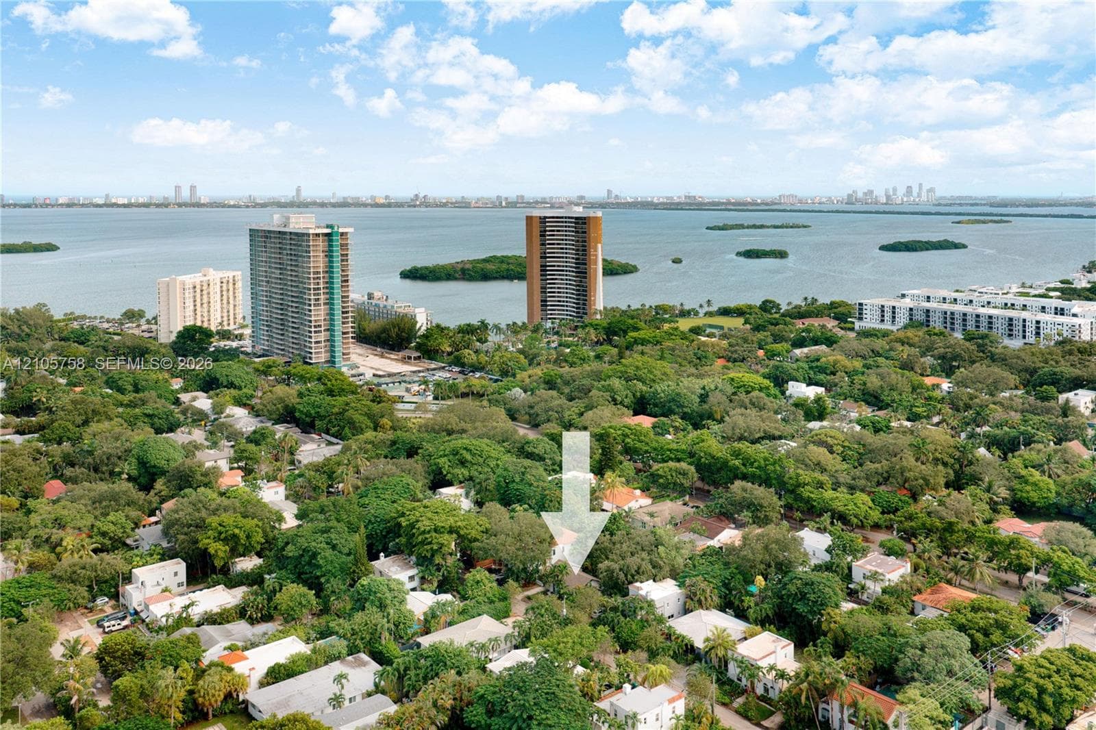 Aerial perspective of a residential property situated within a mature tree canopy