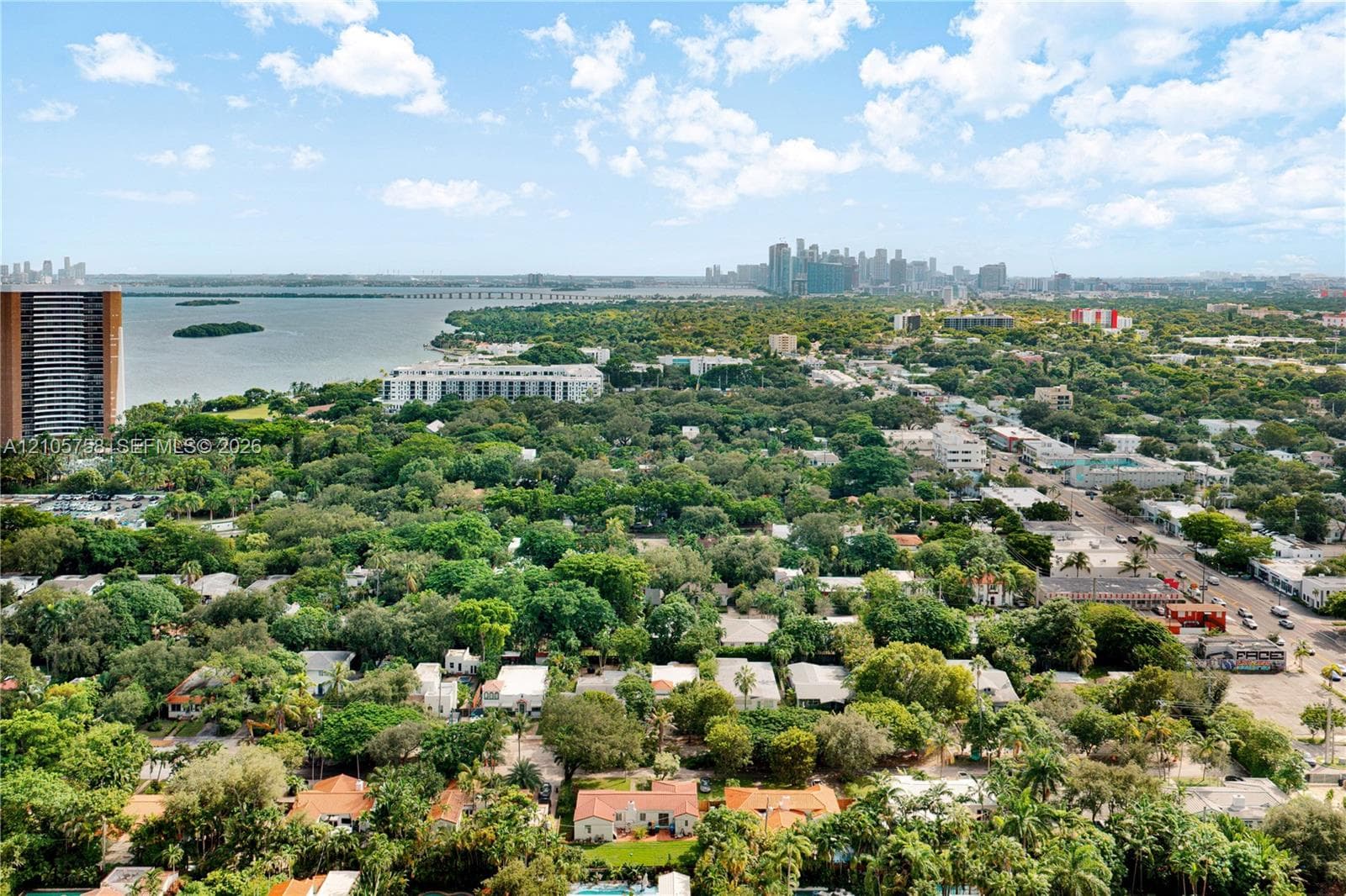 Aerial perspective featuring coastal surroundings, prominent urban skyline, expansive tree canopy, and proximity to open water