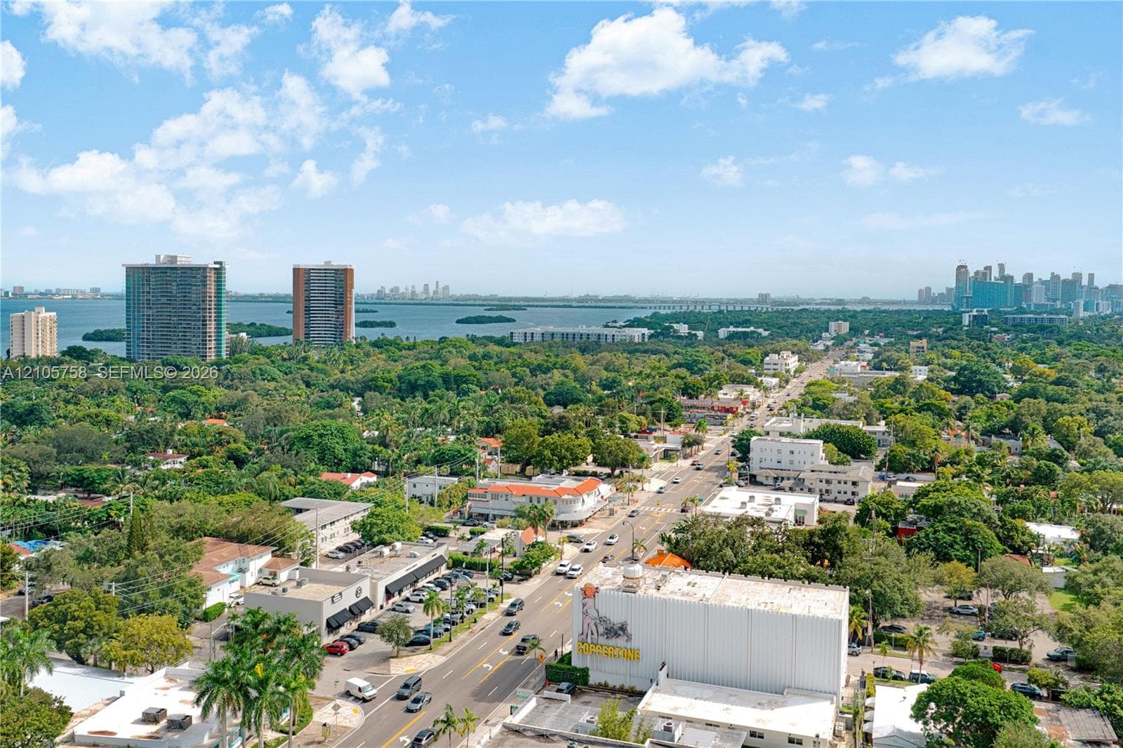 Aerial perspective of coastal surroundings featuring expansive water frontage, high-rise urban skyline, dense canopy of mature trees, and arterial thoroughfares