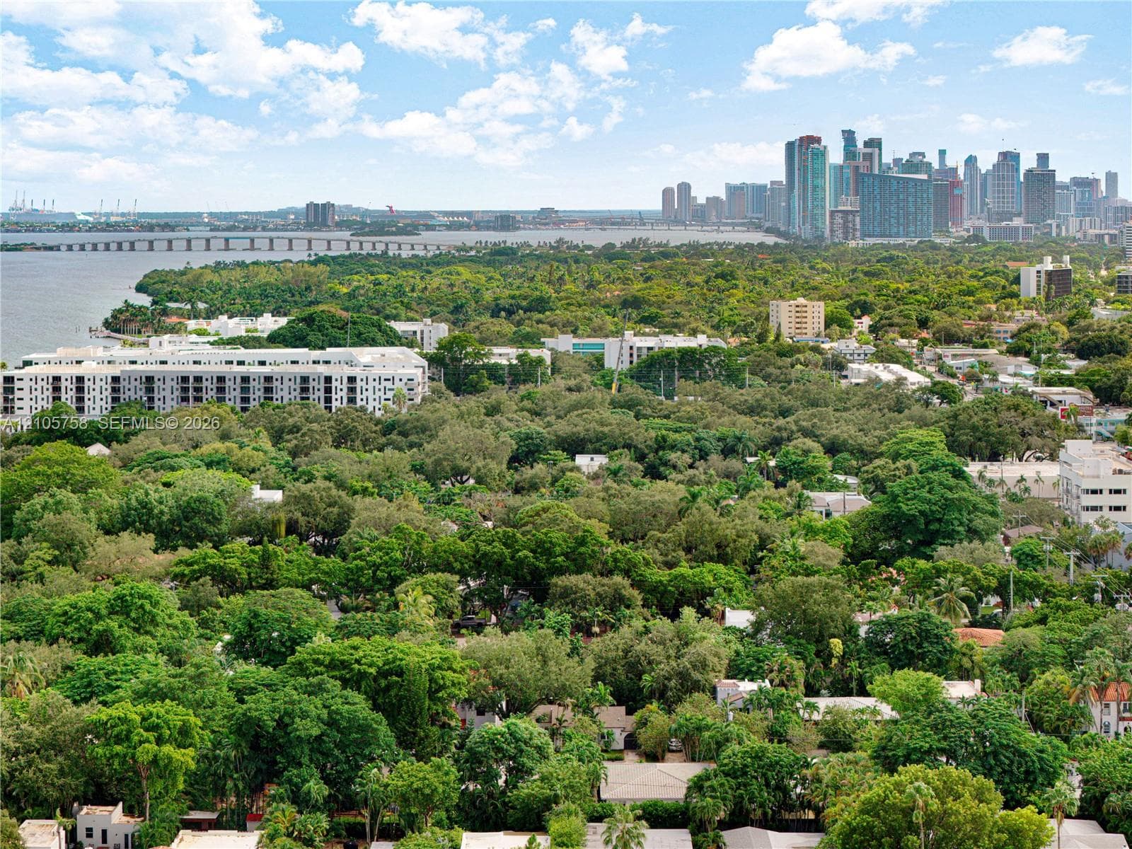 Aerial perspective showcasing an expansive tree canopy, waterfront exposure, bridge infrastructure, and distant cityscape skyline