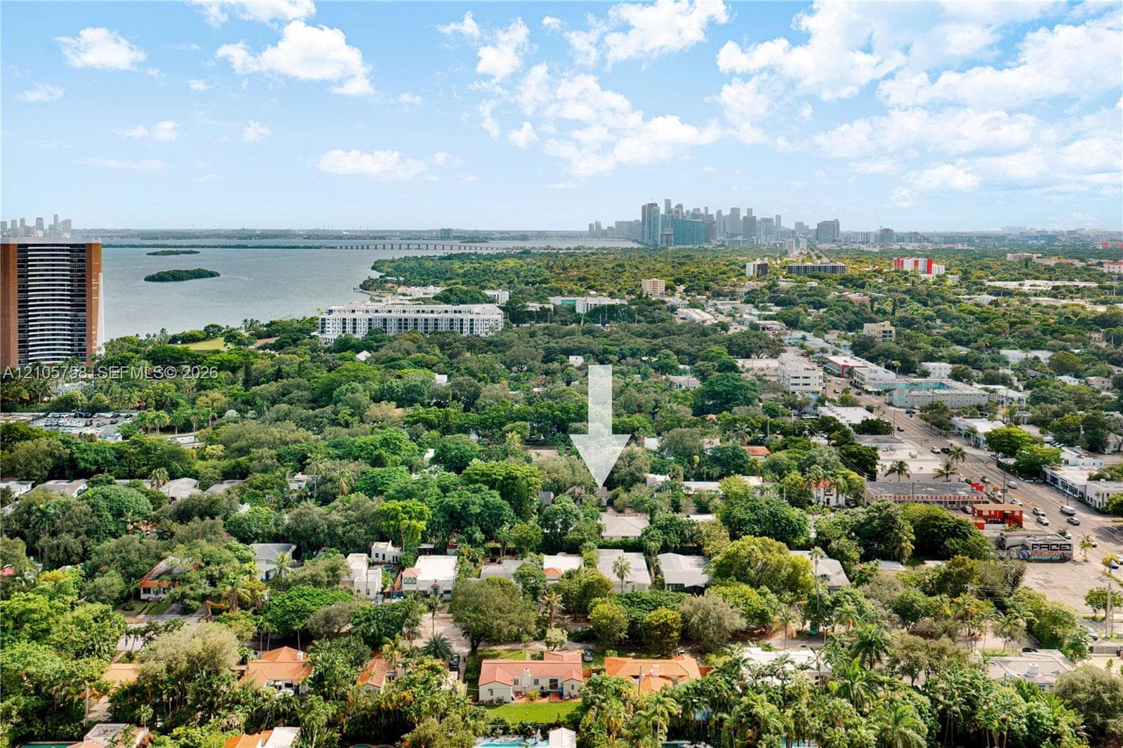 Aerial perspective of a tree-lined residential area featuring a coastal shoreline and city skyline