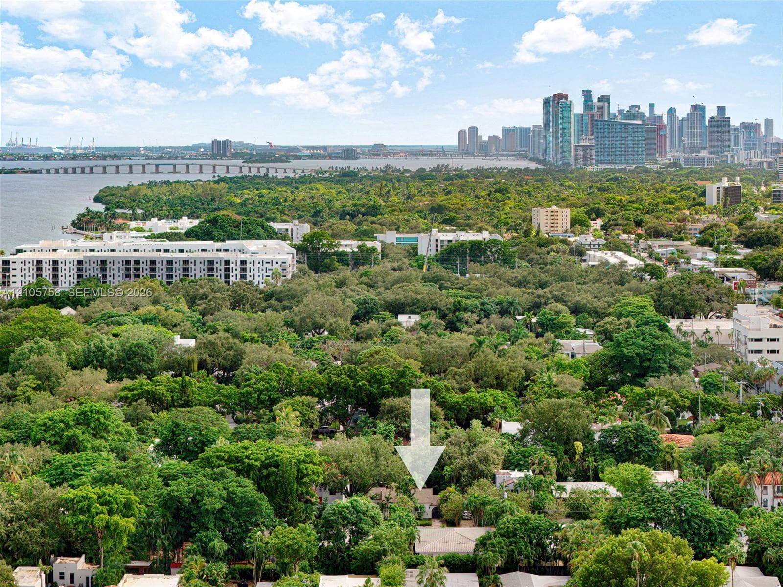 Aerial perspective featuring mature tree canopy and urban skyline backdrop