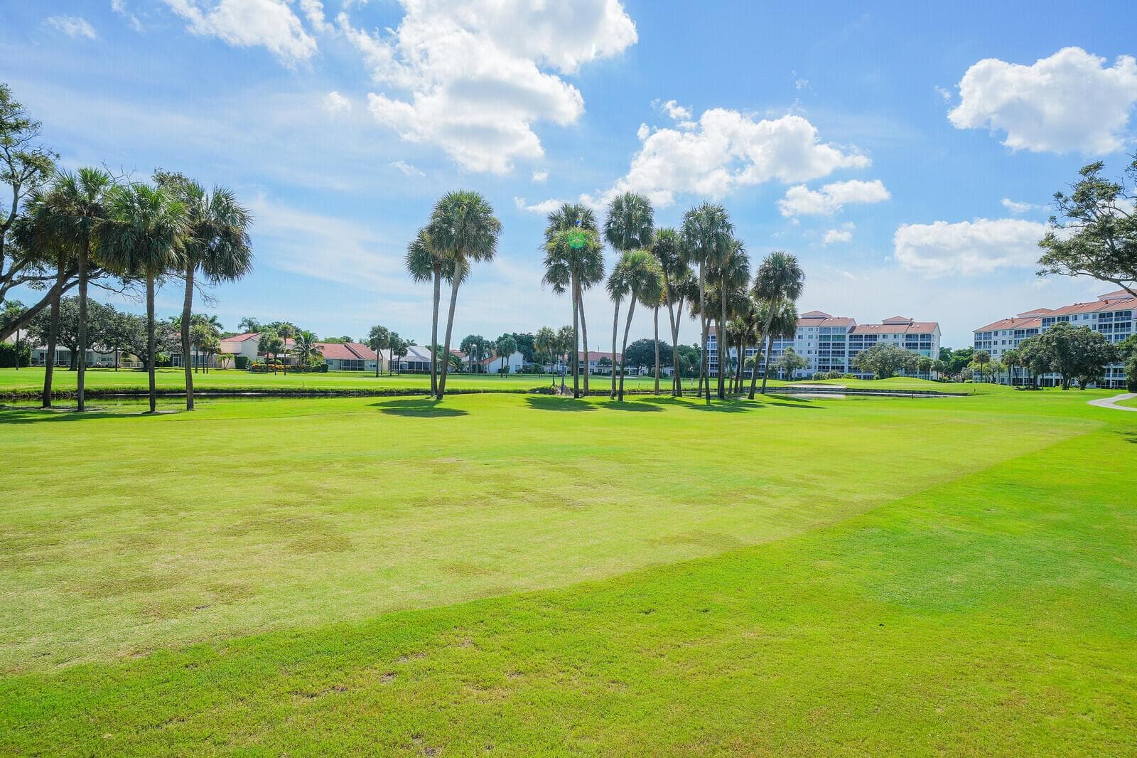 Course View