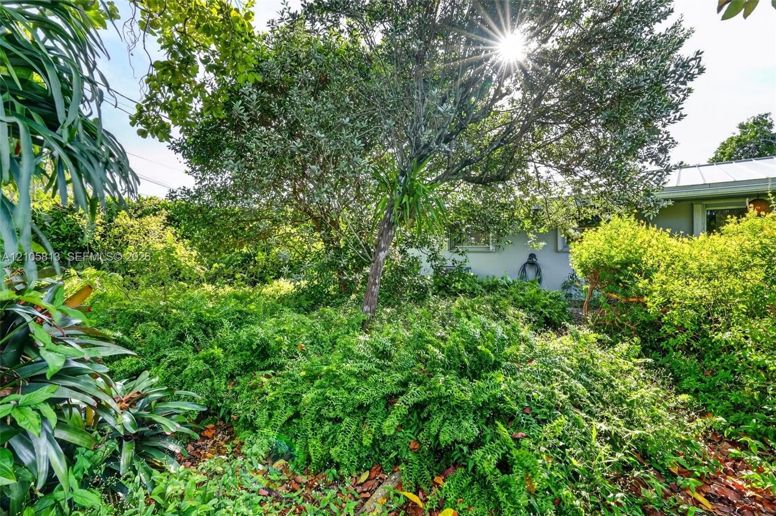 Landscaped exterior featuring mature trees, diverse ground cover, dense shrubbery, and foliage
