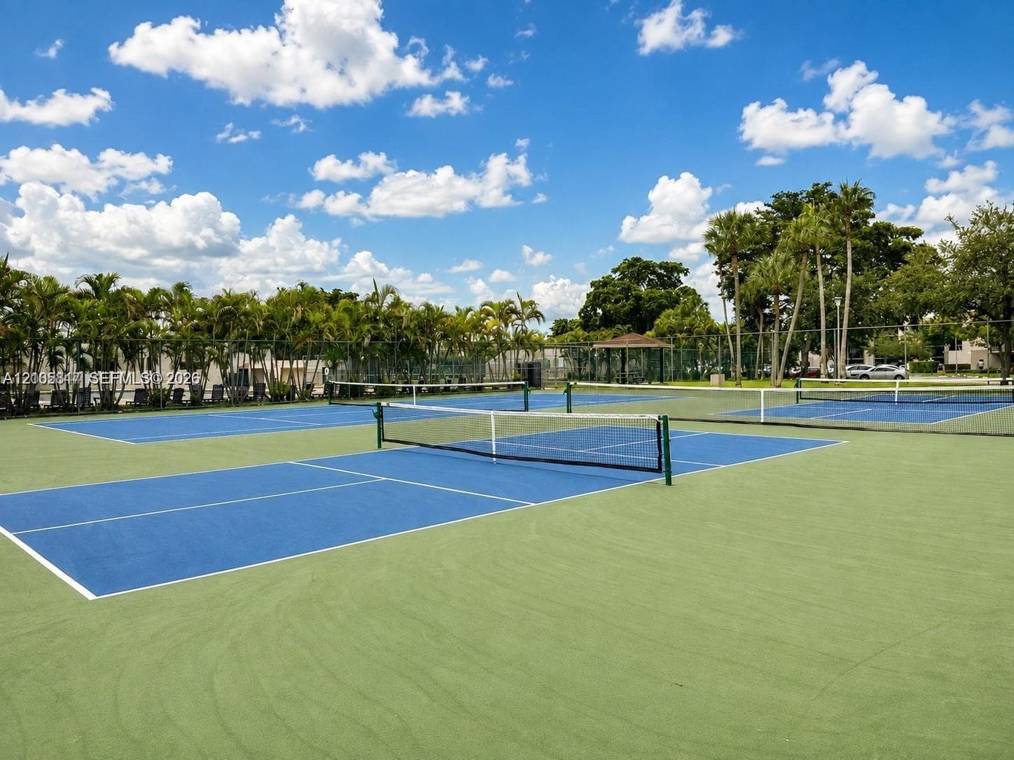 Multi-court recreational facility featuring blue and green acrylic surfacing, perimeter chain-link fencing, and mature palm tree landscaping