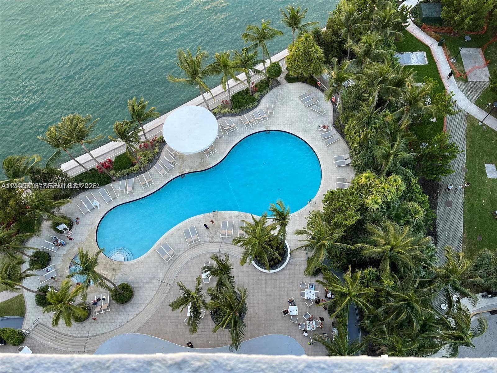 Waterfront swimming pool with paver decking, surrounding mature palm trees, and expansive paved walking paths