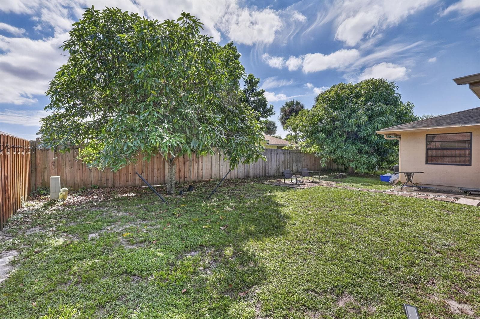 57-web-or-mls-BS1A4522