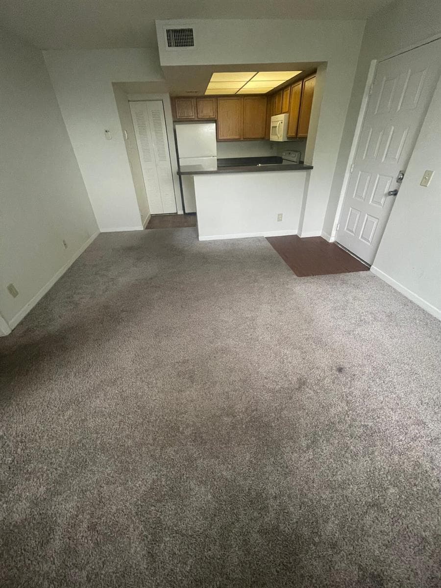 IMG_4170