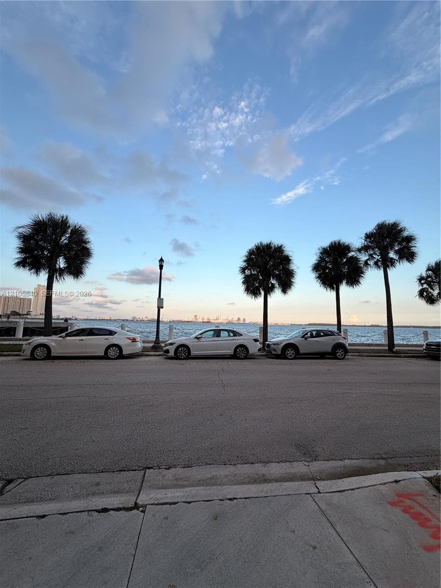 Waterfront setting with established palm trees and paved street frontage