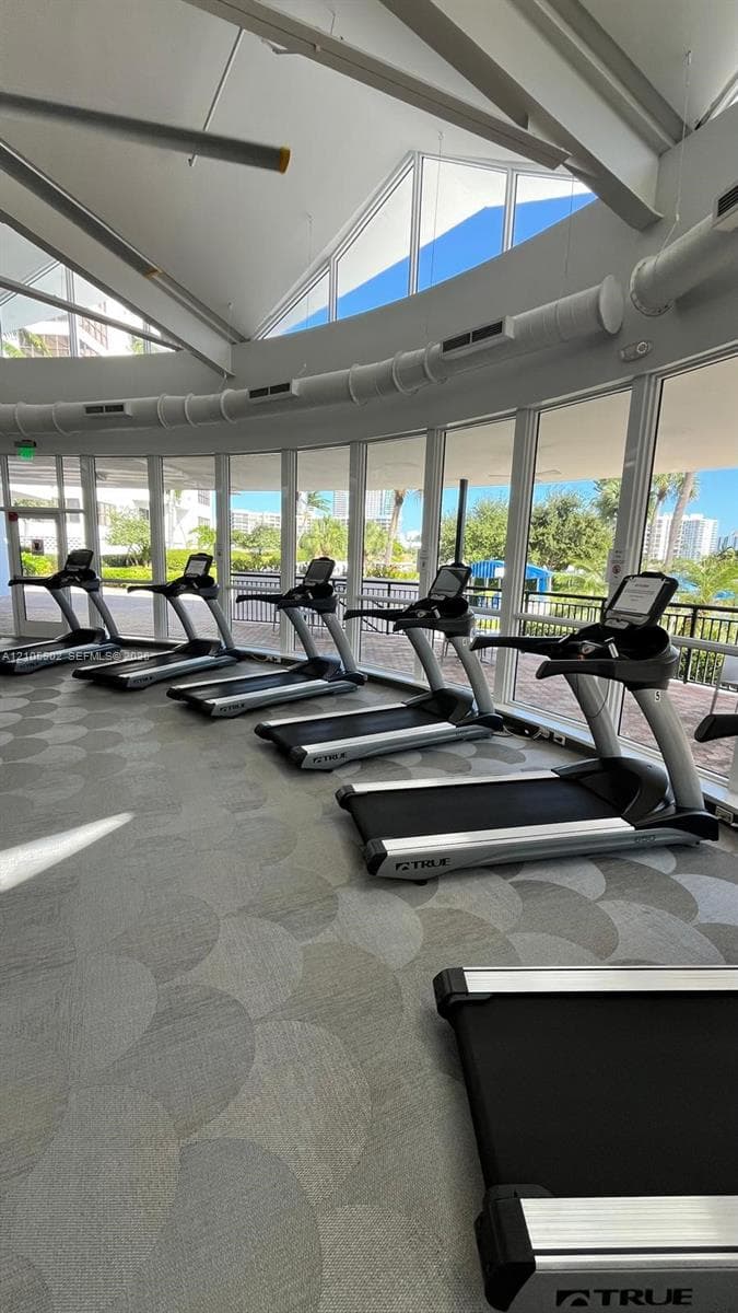 Fitness room featuring floor-to-ceiling windows, high vaulted ceilings, and patterned commercial-grade carpeting