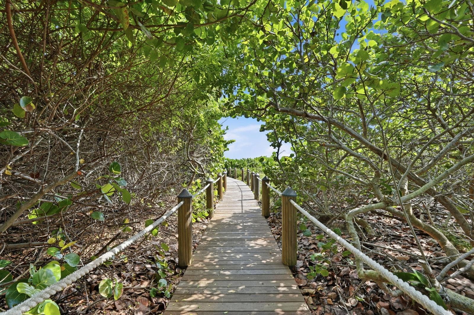 41-web-or-mls-145_S_Ocean_Unit_611_041
